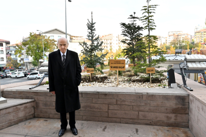 MHP Genel Merkezi önüne 'Biz kardeşiz' ağaçları dikildi