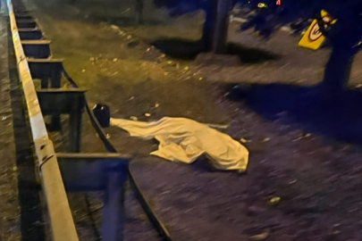 Otoyolda otomobilin çarptığı kadın öldü