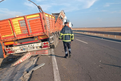 Bariyerlere çarpan TIR’ın dorsesindeki 2 büyükbaş öldü