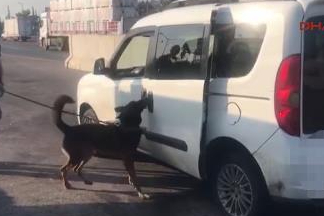 Aracın yakıt deposuna gizlenmiş 11 kilo metamfetamini ‘Aşil