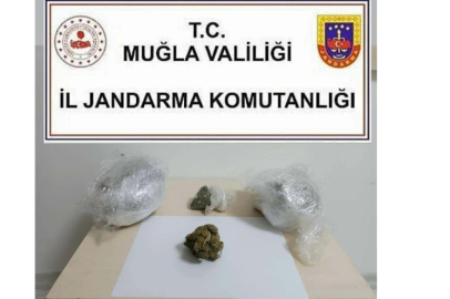 Ormanda 1 kilo skunk ele geçirildi; 3 gözaltı