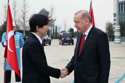 Cumhurbaşkanı Erdoğan, Japonya Veliaht Prensi Fumihito'yu kabul etti