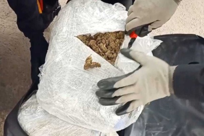 Malatya'da 16 kilo 300 gram skunk ele geçirildi