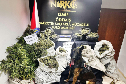 İzmir'de 38 kilo 750 gram esrar ele geçirildi
