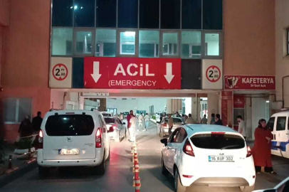 'Kumanda' tartışmasında ağabeyini sırtından bıçakladı