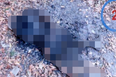 Afgan madenci öldükten sonra yakılmış