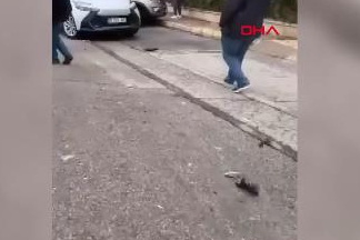 Yokuşta kayan kamyonet, park halindeki 11 araca çarptı; 1 yaralı