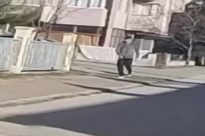Bolu'da yere çöp atan genç, zabıtanın uyarısı üzerine yerden alıp özür diledi