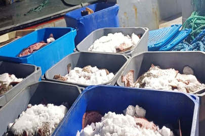 Samsun'da 3,6 ton kaçak kalkan balığı ele geçirildi