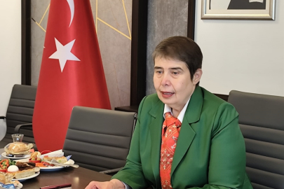 CHP'li Şahbaz: Gazetecilik, halkın haber alma hakkını korumak demektir