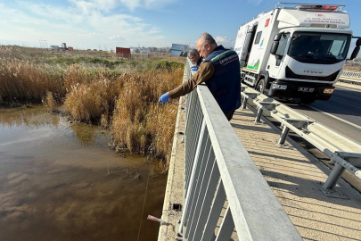 Müsilaj oluşumları nedeniyle Tekirdağ’da atık su arıtma tesislerinde denetim