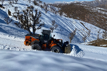 Sason'da 14 yerleşim yerinin yolu kardan kapandı