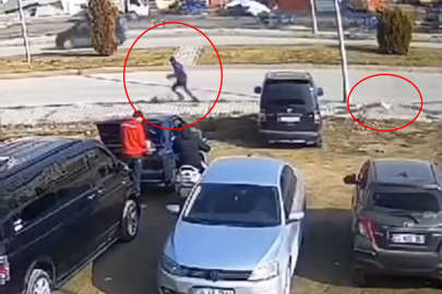 Horoz, sayaç okumaya gelen görevliyi kovaladı; o anlar kamerada