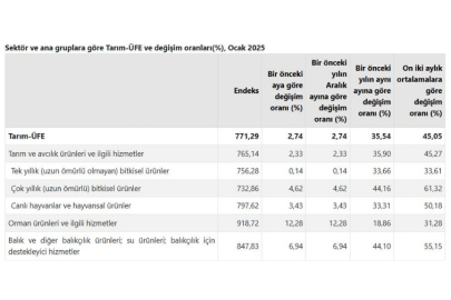 TÜİK: Tarım Üretici Fiyatları Ocak Ayında Artış Gösterdi