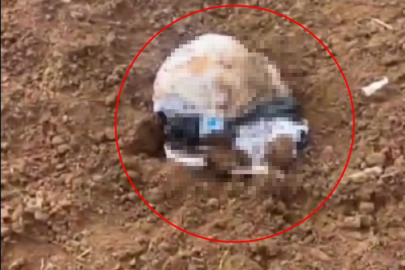 Şırnak'ta, poşet içerisinde yeni doğmuş kız bebek cesedi bulundu