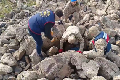 Jandarma, taşların arasında silah ve mühimmat buldu