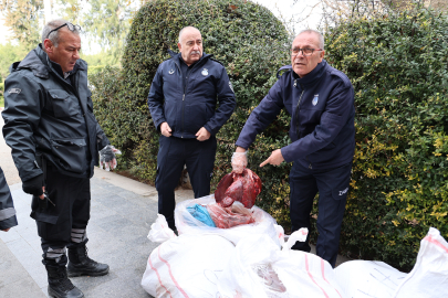 Antalya Terminalinde 1,5 Ton Karaciğer Çuvallarda Taşınırken Ele Geçirildi, İmha Edildi