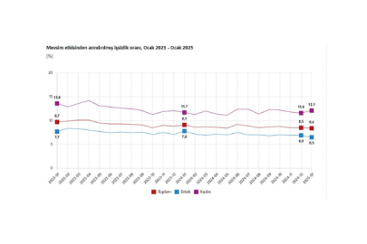 Türkiye İstatistik Kurumu (TÜİK), Ocak 2025 dönemi iş gücü verilerini açıkladı