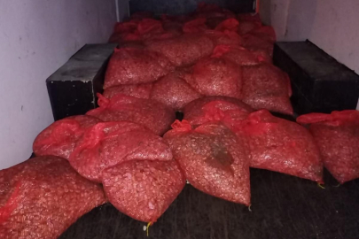 Çanakkale'ye Sevk Edilecek 3 Ton Midye Yakalandı: Yasa Dışı Avcılık Operasyonu