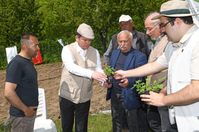 Osmangazi Belediyesi’nden tarımsal üretimde önemli adım