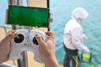 İstanbul Boğazı'ndaki deniz çayırlarının üzerindeki müsilaj arttı