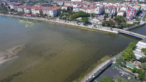 İstanbul - Silivri'de deniz yeşile büründü