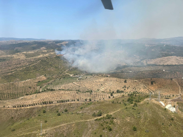İzmir’de makilik yangını