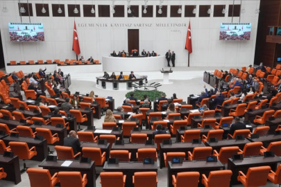 Türk Lirası ile ilgili kanun teklifi Meclis'te
