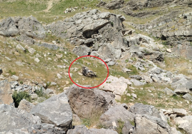Batman'da bilirkişi ekibinin otomobili, şarampole yuvarlandı: 5 ölü