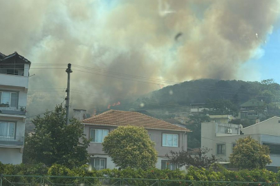 Bursa'da orman yangını yerleşim yerine sıçradı! Gözyaşları içinde köyü terk ettiler