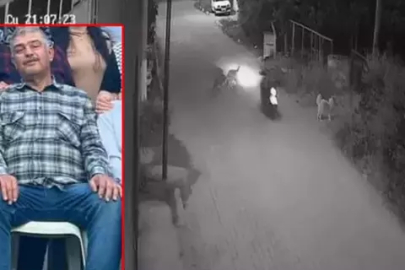 Sokak köpeğine çarpan sürücü 10 gün sonra öldü