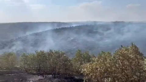 Mardin’de örtü yangını