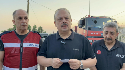 Aydın’da orman yangını (2)