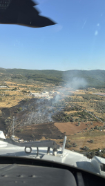 Bodrum'da tarım arazisinde yangın, 2 hektar zarar gördü
