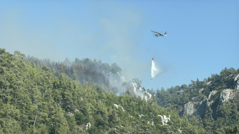 Milas'ta orman yangını(2)