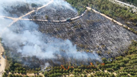 Kocaeli’de ağaçlık bölgede yangın (2)