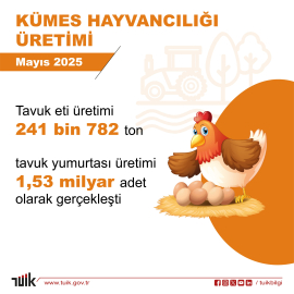 Mayısta yumurta üretimi azaldı, tavuk eti ve içme sütü üretimi arttı