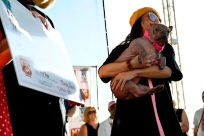 Dünyanın en çirkin köpeği: Sahibine 5 bin dolar kazandırdı