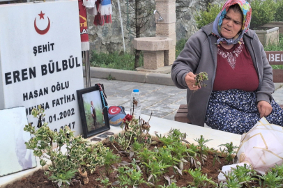 Eren Bülbül'ün annesi Ayşe Bülbül: Silahlarını teslim etsinler, terör bitsin