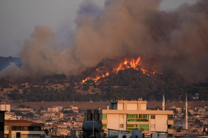 İzmir'de orman yangını sürüyor: 3 kişi gözaltında