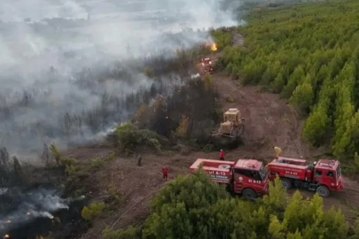 Osmaniye'de orman yangınına müdahaleye giden ekip kaza geçirdi: 1 şehit,4 yaralı
