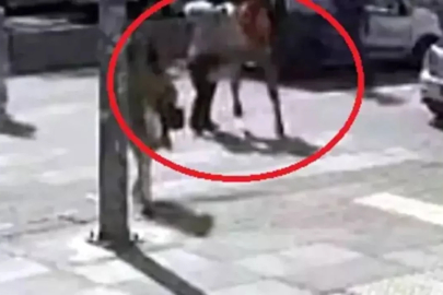 Yaşlı kadını yumruklayıp kaçmıştı... Gözü dönmüş maganda tutuklandı!