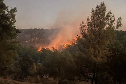 Muğla'daki yangınlarda son durum: 218 ev boşaltıldı, 582 kişi tahliye edildi