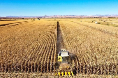 Tarımsal üretimde rekor: Türkiye dünyada 7, Avrupa'da 1'inci sıraya yerleşti