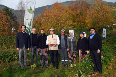 Osmangazi’de Üzümsü Meyvelerde Organik Tarım Seferberliği
