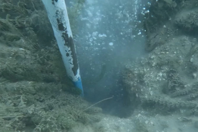 Sapanca Gölü'nde neler oluyor? Fokur fokur kaynıyor depremin habercisi mi?