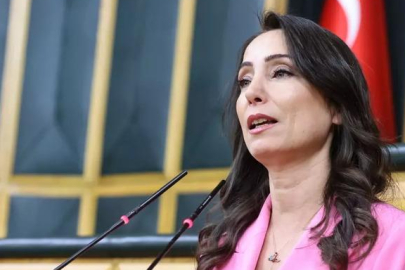 İmralı'da ne konuşuldu? DEM Parti'den ilk açıklama: "Herkese açık olmasını istiyoruz"