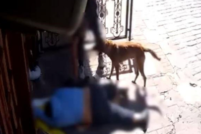 Yer: Beyoğlu! Sara nöbeti sonrası bayılan adamın telefonunu çaldılar