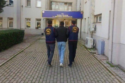 1 milyon TL'lik evin sahibi, evini yerinde bulamadı: Bursa'da çığır açan 'tiny house' hırsızlığı