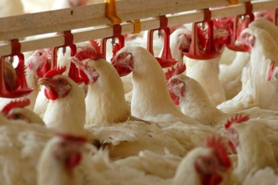 Sektör devi şirket mali darboğazda! Konkordato ilan etti